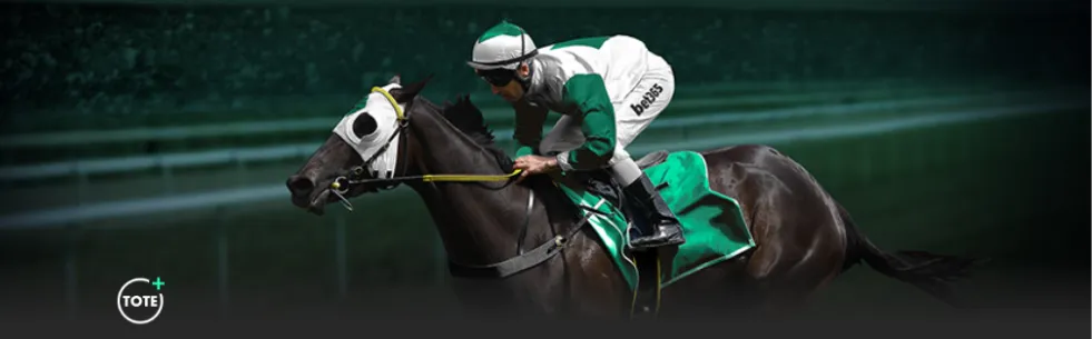 南美解放者,杯巴萨克卢,前瞻,NG娱乐官网,NG娱乐官网入口,NG娱乐官方网址,NG娱乐国际厅,NG娱乐平台官方,NG娱乐棋牌,NG大舞台